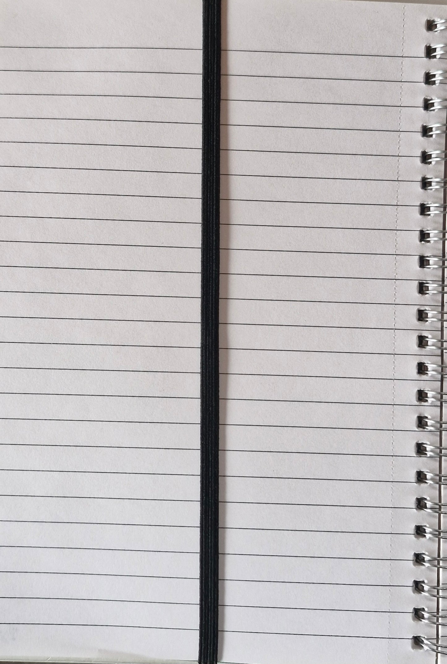 Pen holder/bookmark