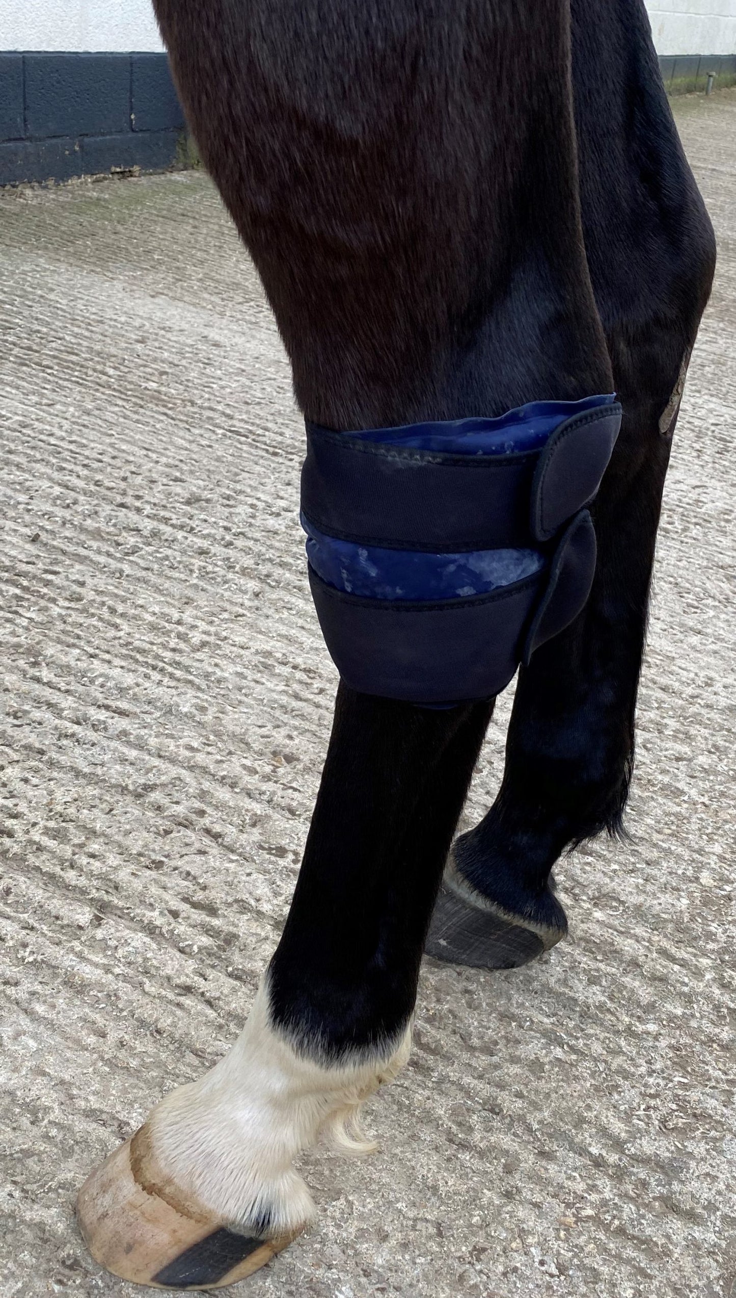 Cryochaps - Absolute Wrap