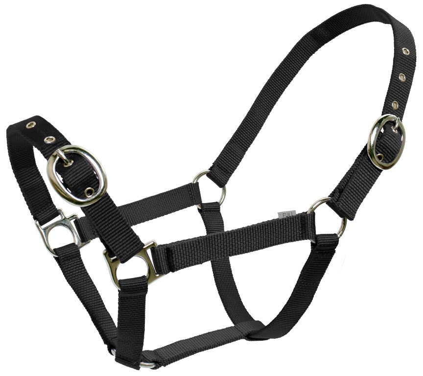 Paddock Halters