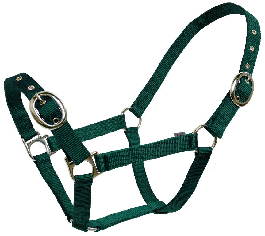 Paddock Halters