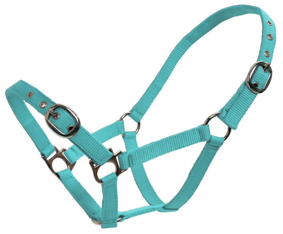 Paddock Halters