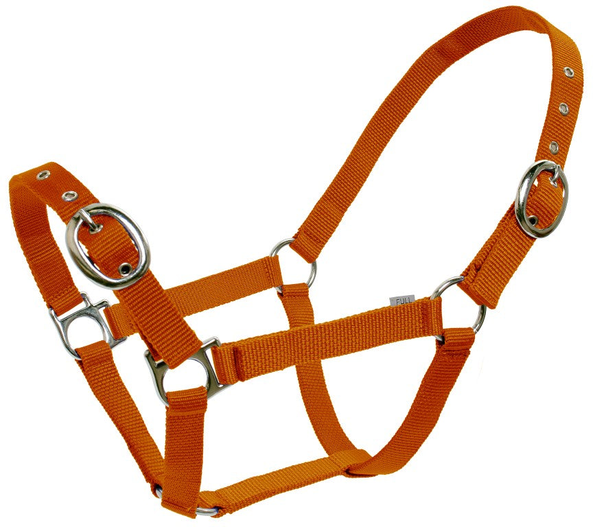 Paddock Halters