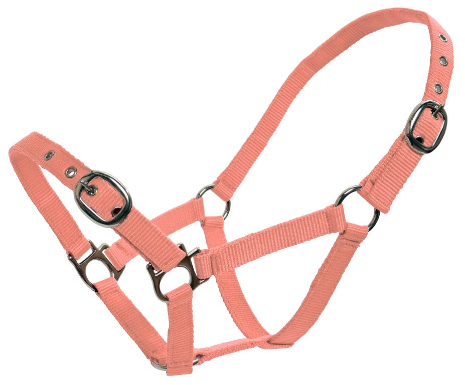 Paddock Halters