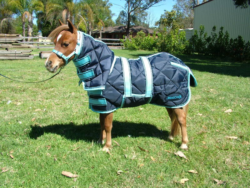 MINICRAFT Dooners (Miniature Horse Sizes)