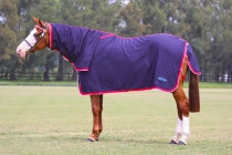 MINICRAFT Cottons - Horse and Pony Sizes