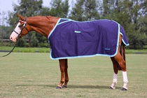 MINICRAFT Cottons - Horse and Pony Sizes