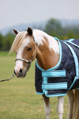 MINICRAFT Dooners (Miniature Horse Sizes)