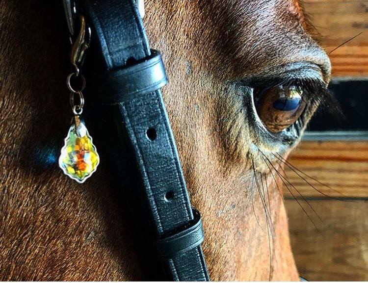 Bridle Charm - Tear Drop