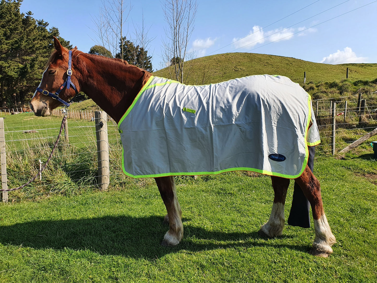 Minicraft Ripstops - Horse and Pony sizing