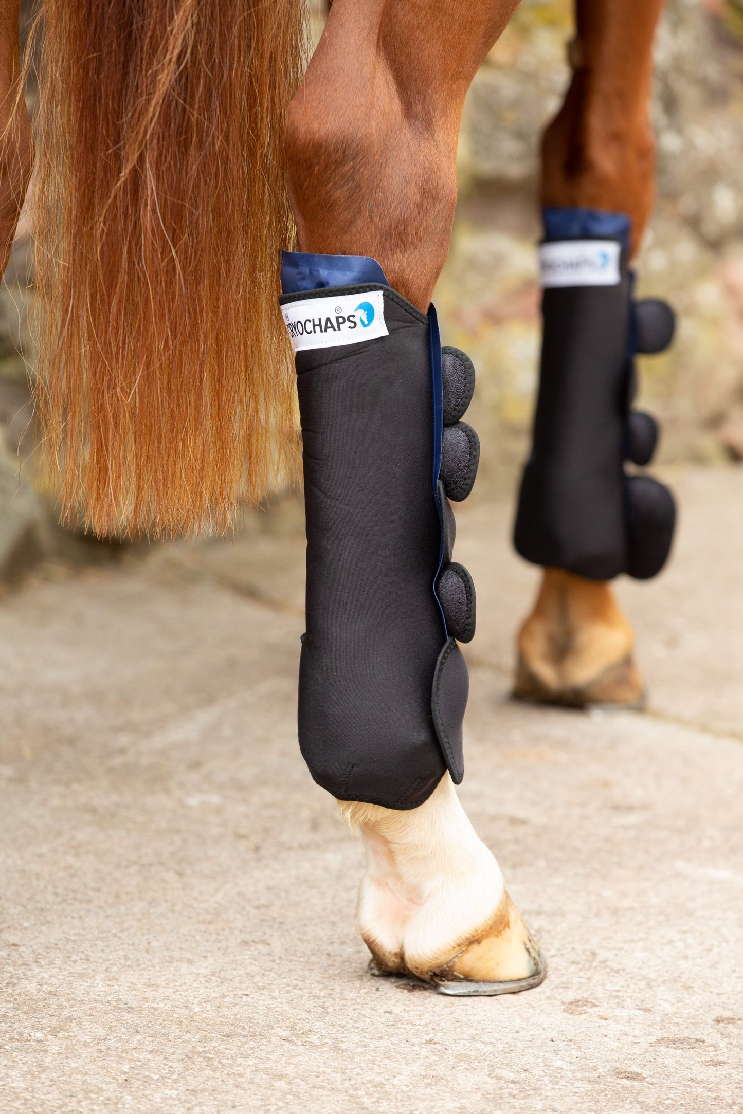 Cryochaps - K2F - NEW DESIGN .