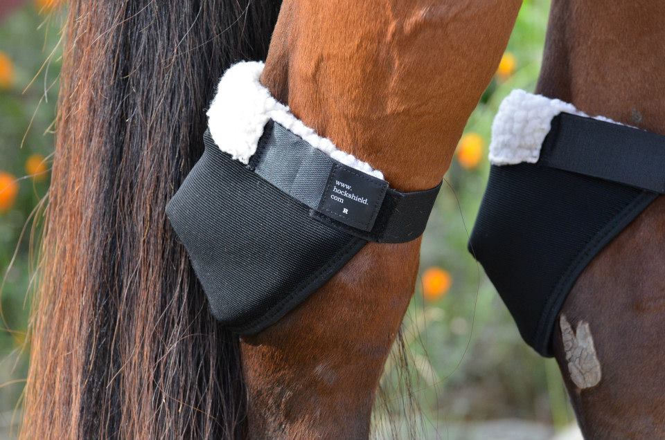 Hock Shields