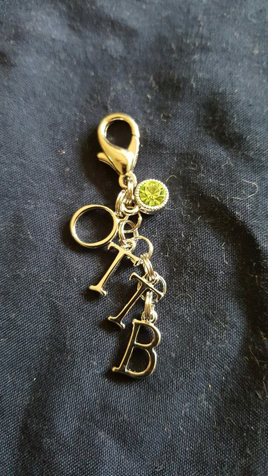 Bridle Charm - OTTB Pride