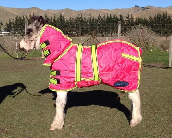 MINICRAFT Dooners (Miniature Horse Sizes)