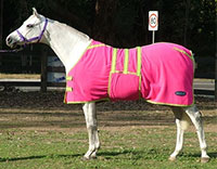 MINICRAFT Polar Fleece - Horse and Pony Sizing
