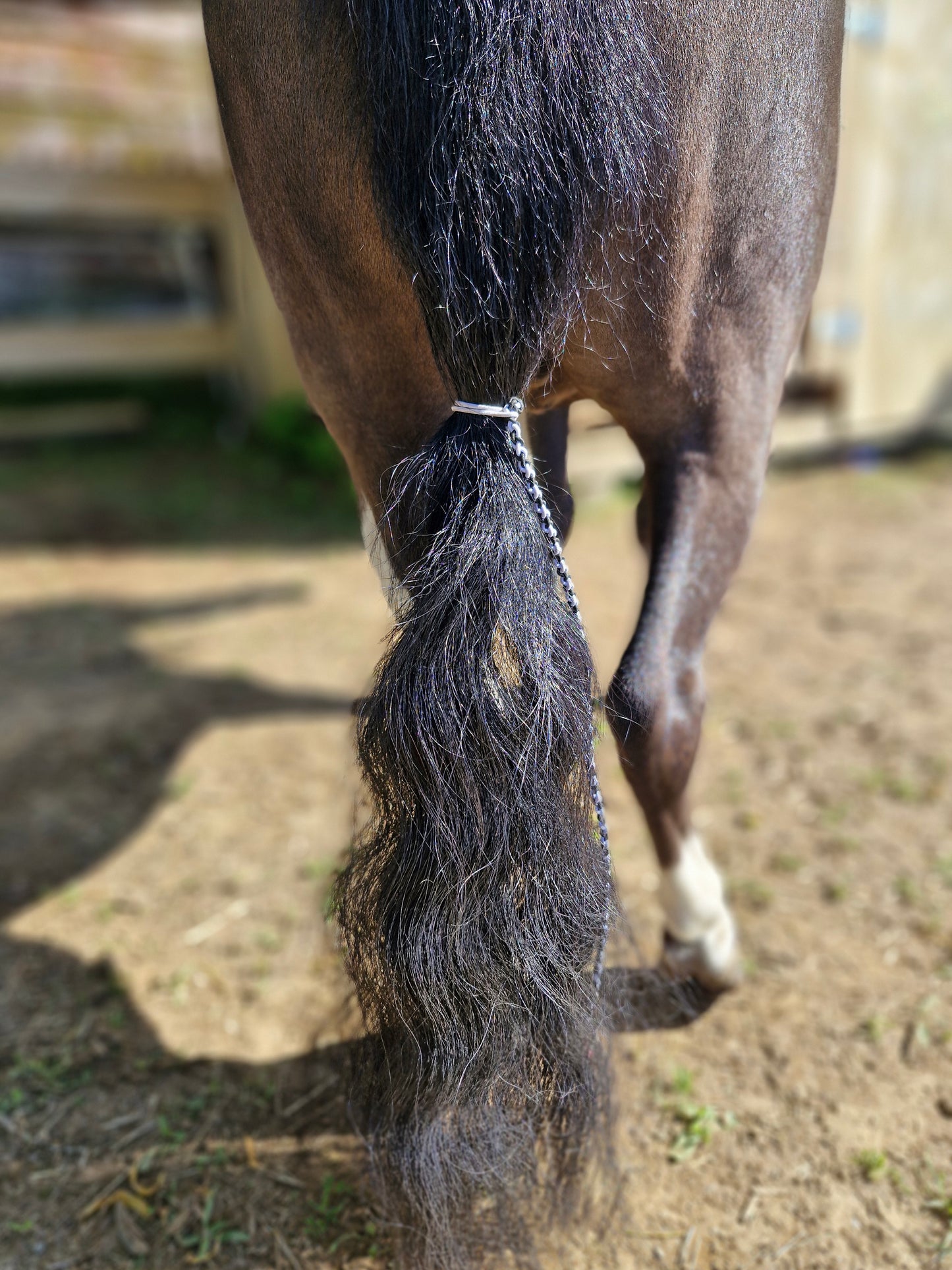 Tender Touch Tail Twist