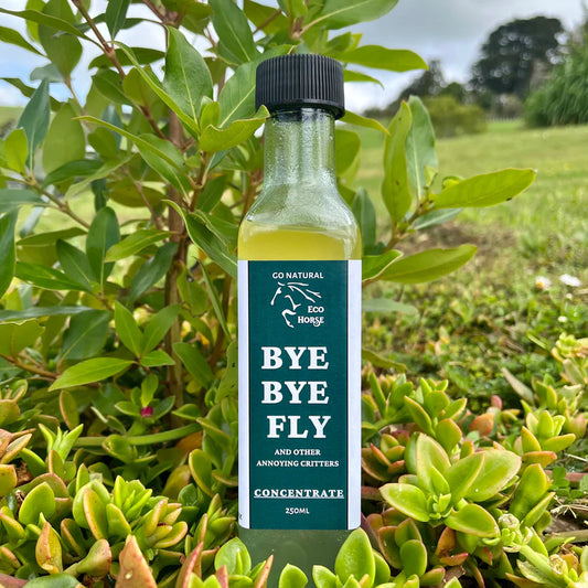 Bye Bye Fly Concentrate - REFILL