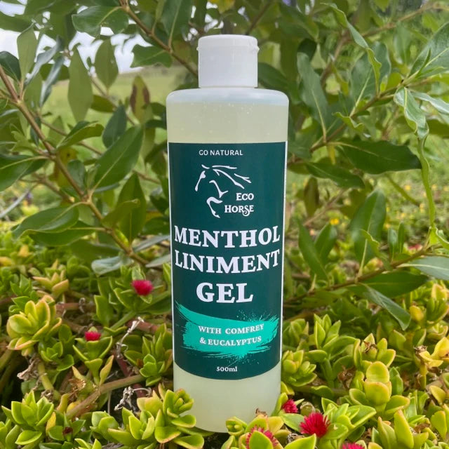 Menthol Liniment Gel