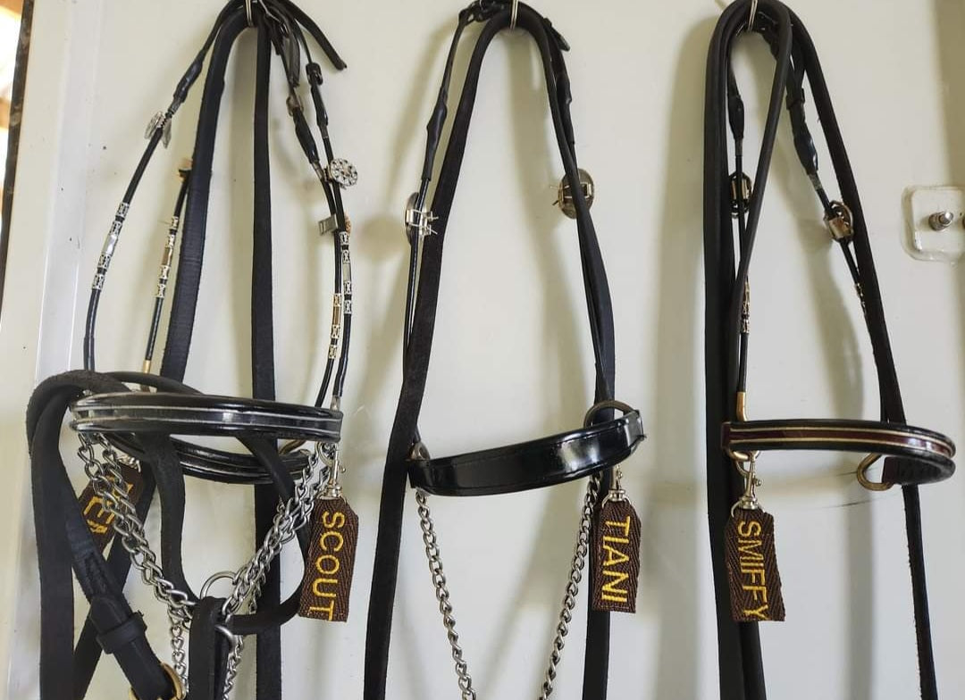 Halter/Bridle tags