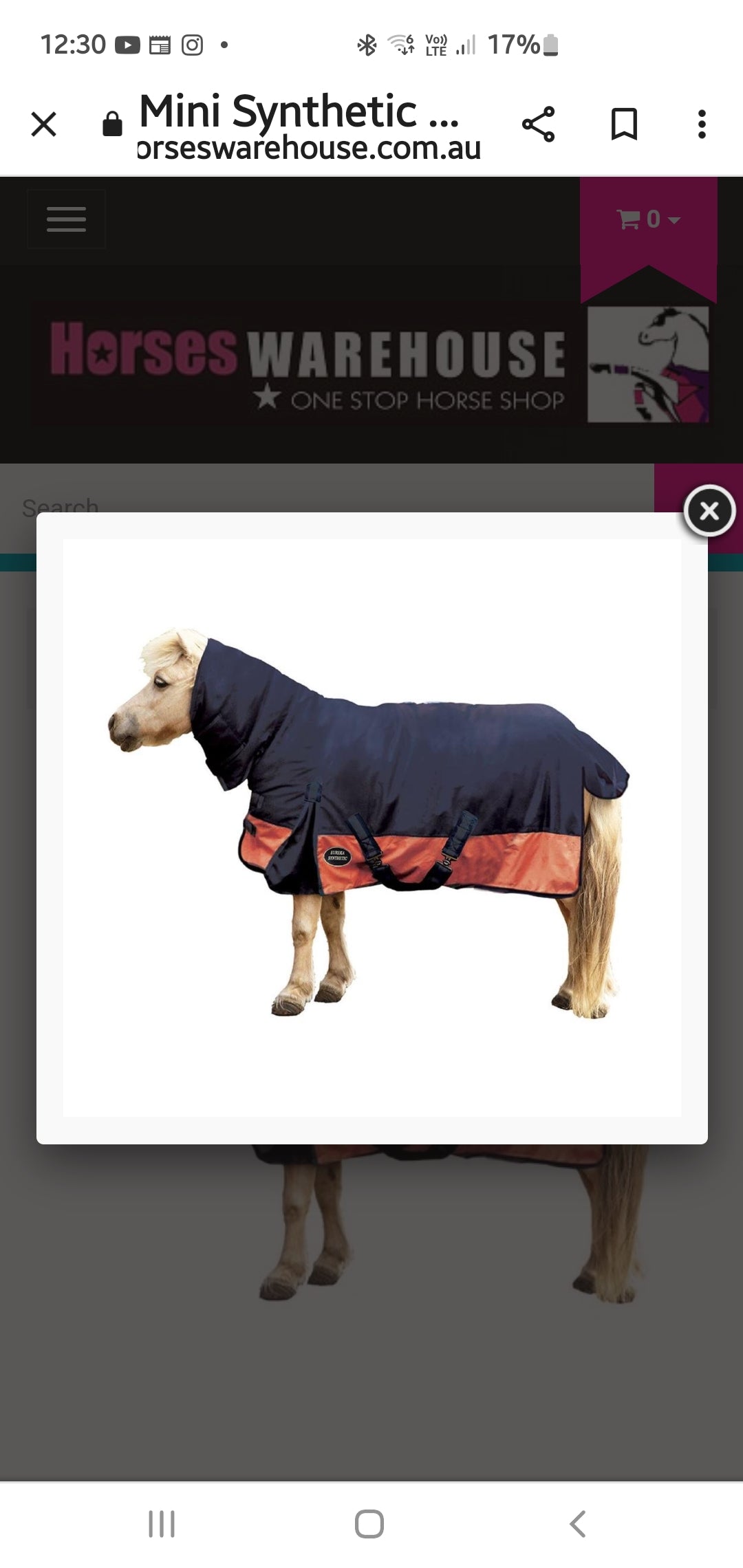 Eureka Mini Horse Winters