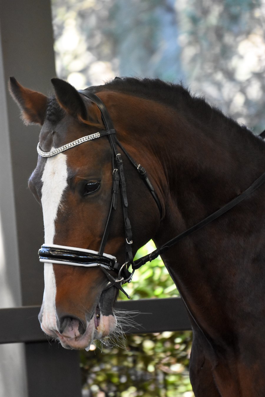 Luminere Equestrian Bridle - "Adeline"
