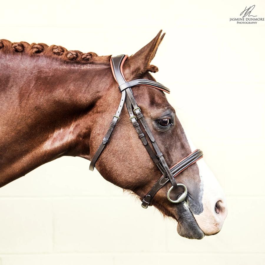 Luminere Equestrian Bridles - "Amour"