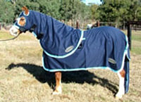 MINICRAFT Cotton Hoods - Horses & Pony Sizing
