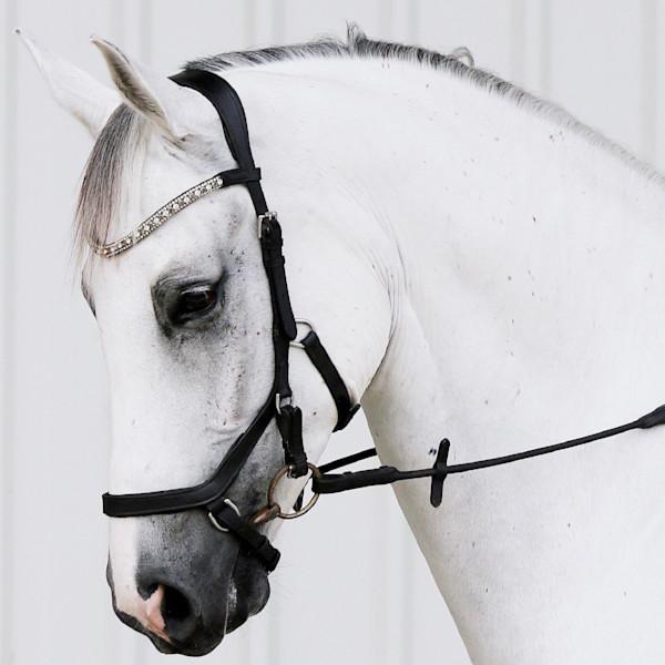 Lumiere Equestrian Bridles - "Azure"