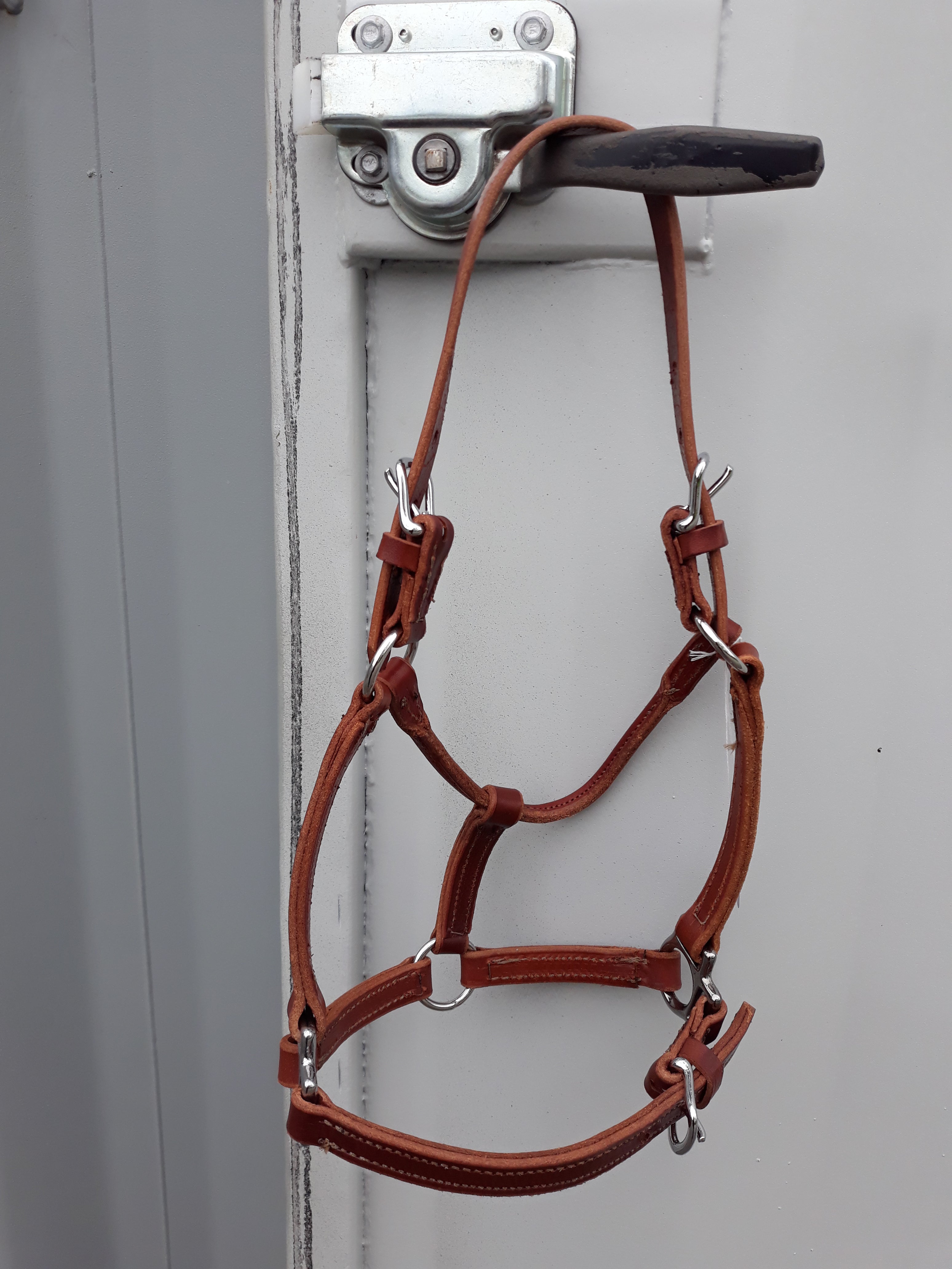 Leather Miniature Horse Halters The Horsewear House