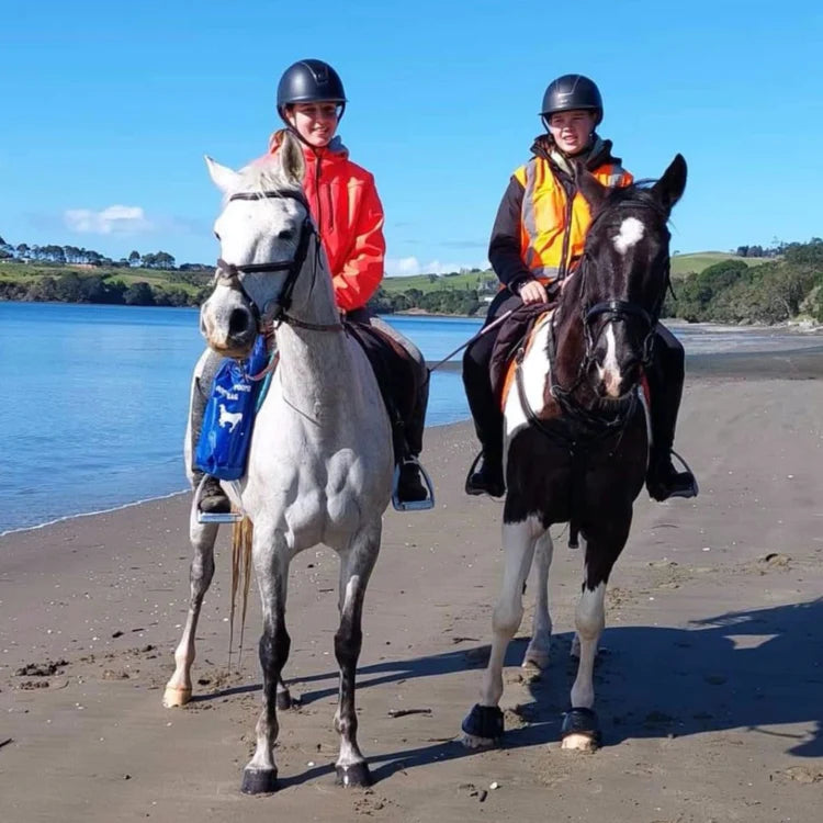 Ecohorse Oopsie Poopsie Bag