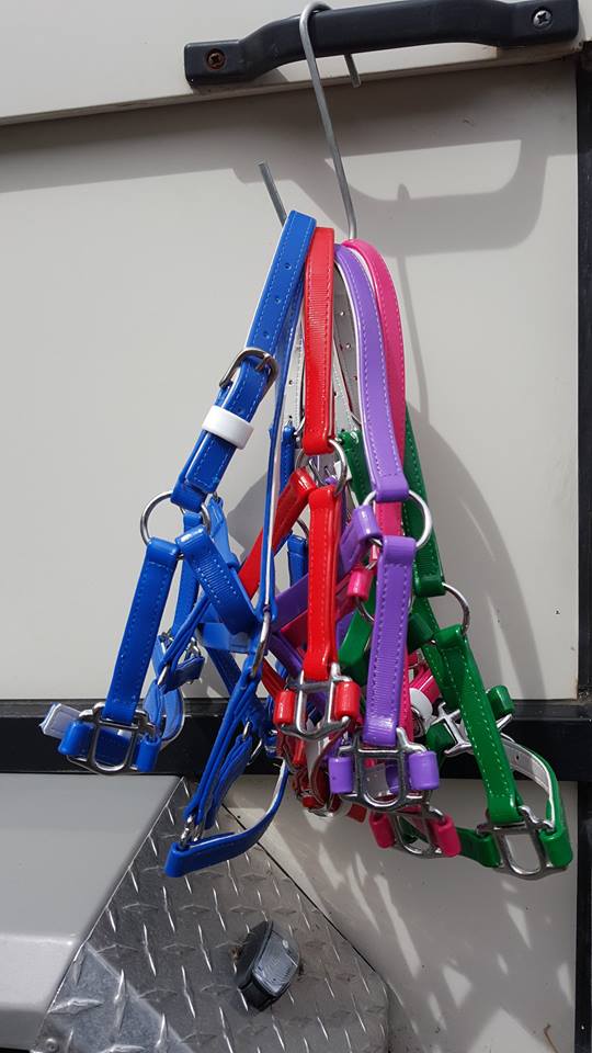 PVC Miniature Horse Halters