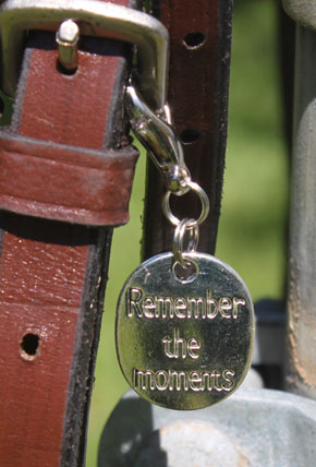 Bridle Charm - Remember the Moments