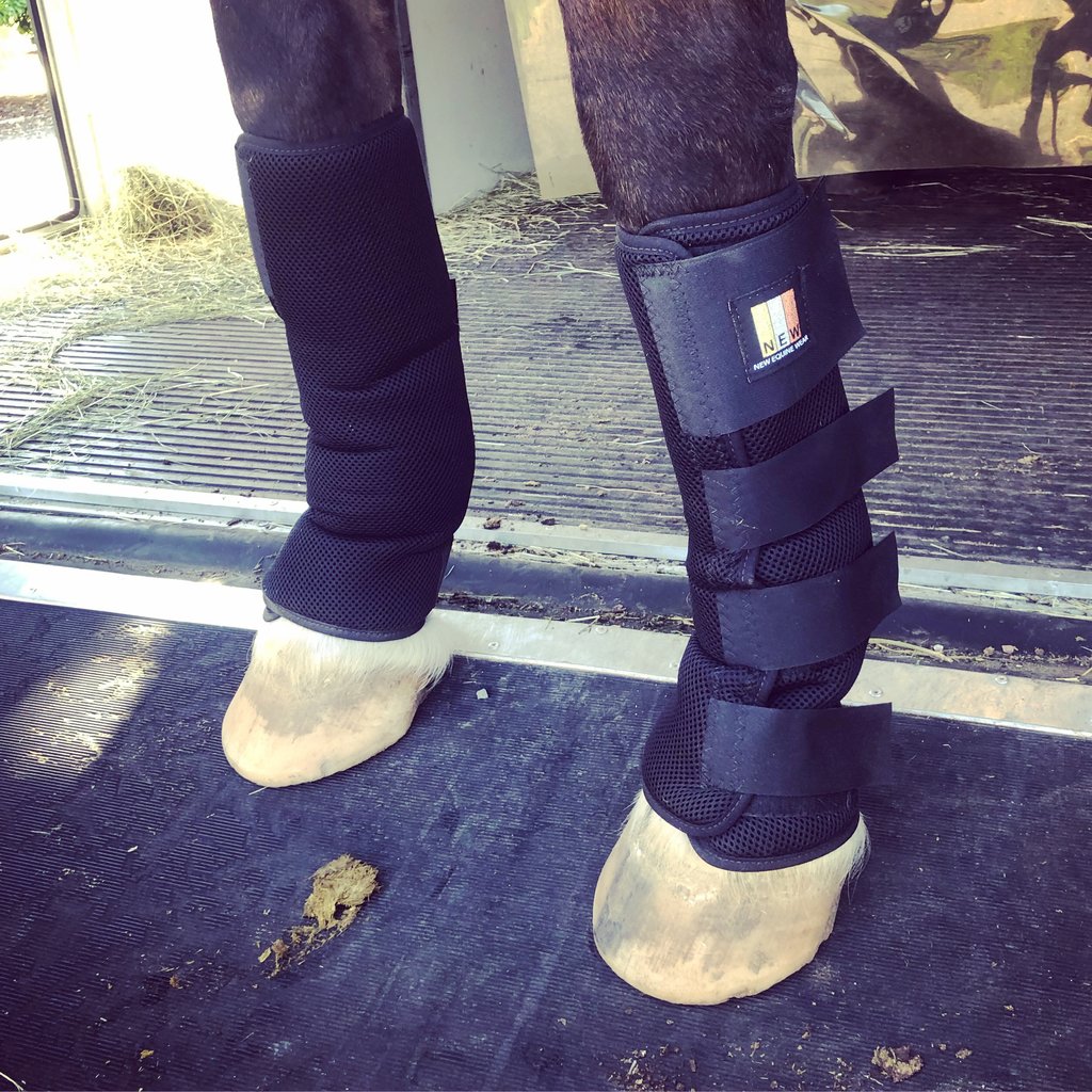 New Equine Wear (NEW) Vent Tex Leg Wraps